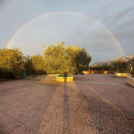 Lisandro Wine Resort Apartments Caserta Castel Campagnano ภายนอก รูปภาพ