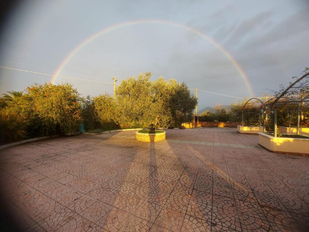 Lisandro Wine Resort Apartments Caserta Castel Campagnano ภายนอก รูปภาพ