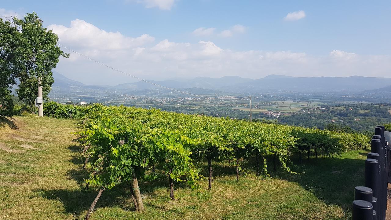 Lisandro Wine Resort Apartments Caserta Castel Campagnano ภายนอก รูปภาพ