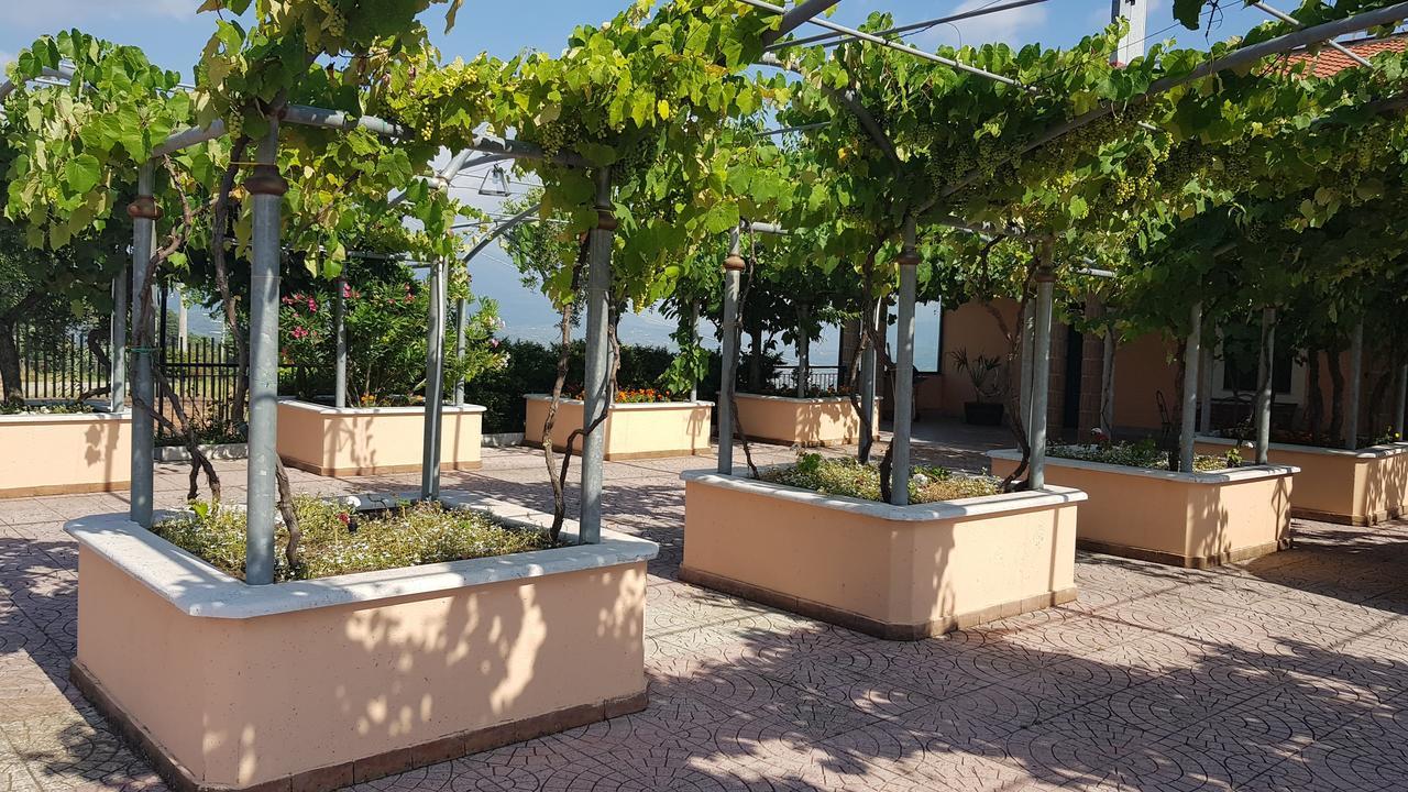 Lisandro Wine Resort Apartments Caserta Castel Campagnano ภายนอก รูปภาพ
