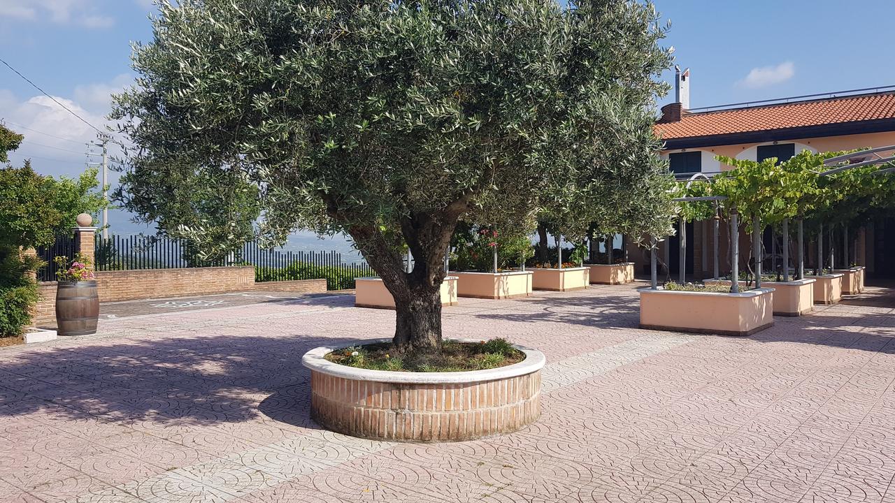 Lisandro Wine Resort Apartments Caserta Castel Campagnano ภายนอก รูปภาพ