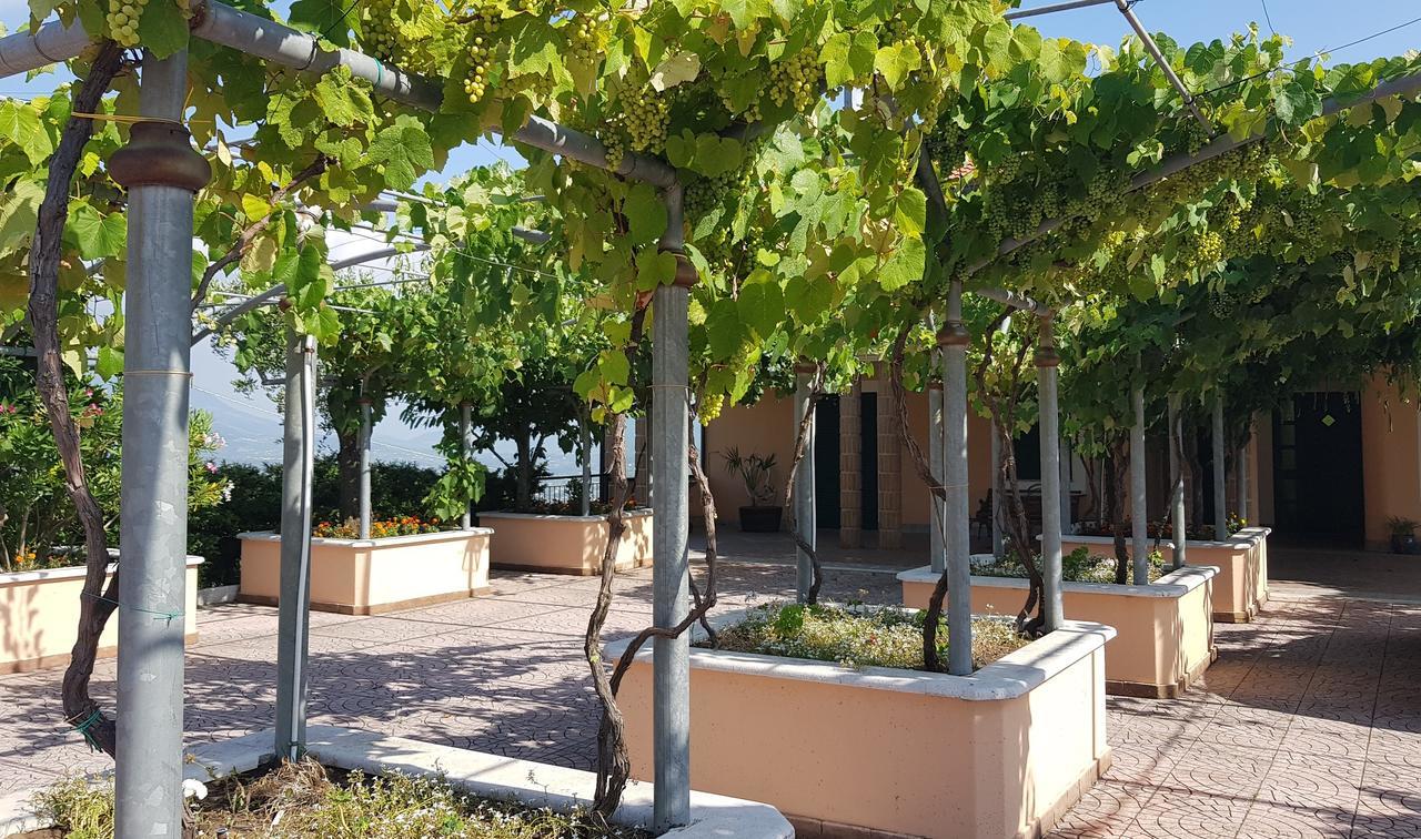 Lisandro Wine Resort Apartments Caserta Castel Campagnano ภายนอก รูปภาพ