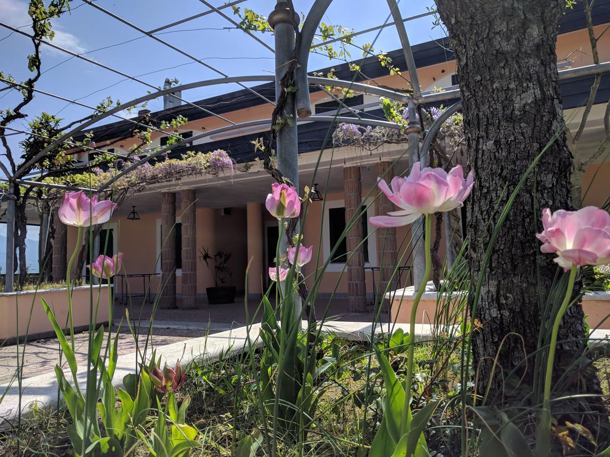Lisandro Wine Resort Apartments Caserta Castel Campagnano ภายนอก รูปภาพ